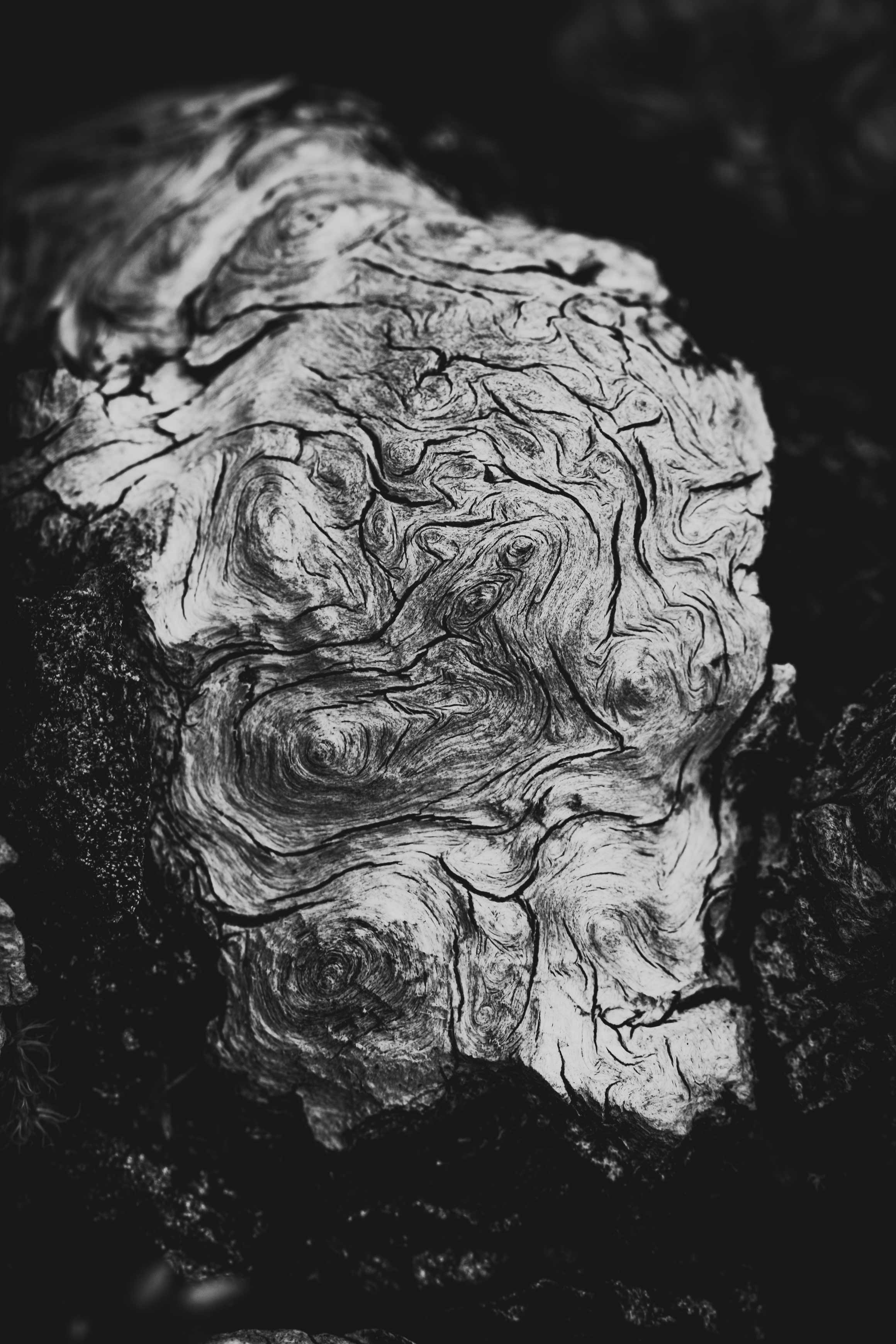 Gedankenstrudel - Sep 2025