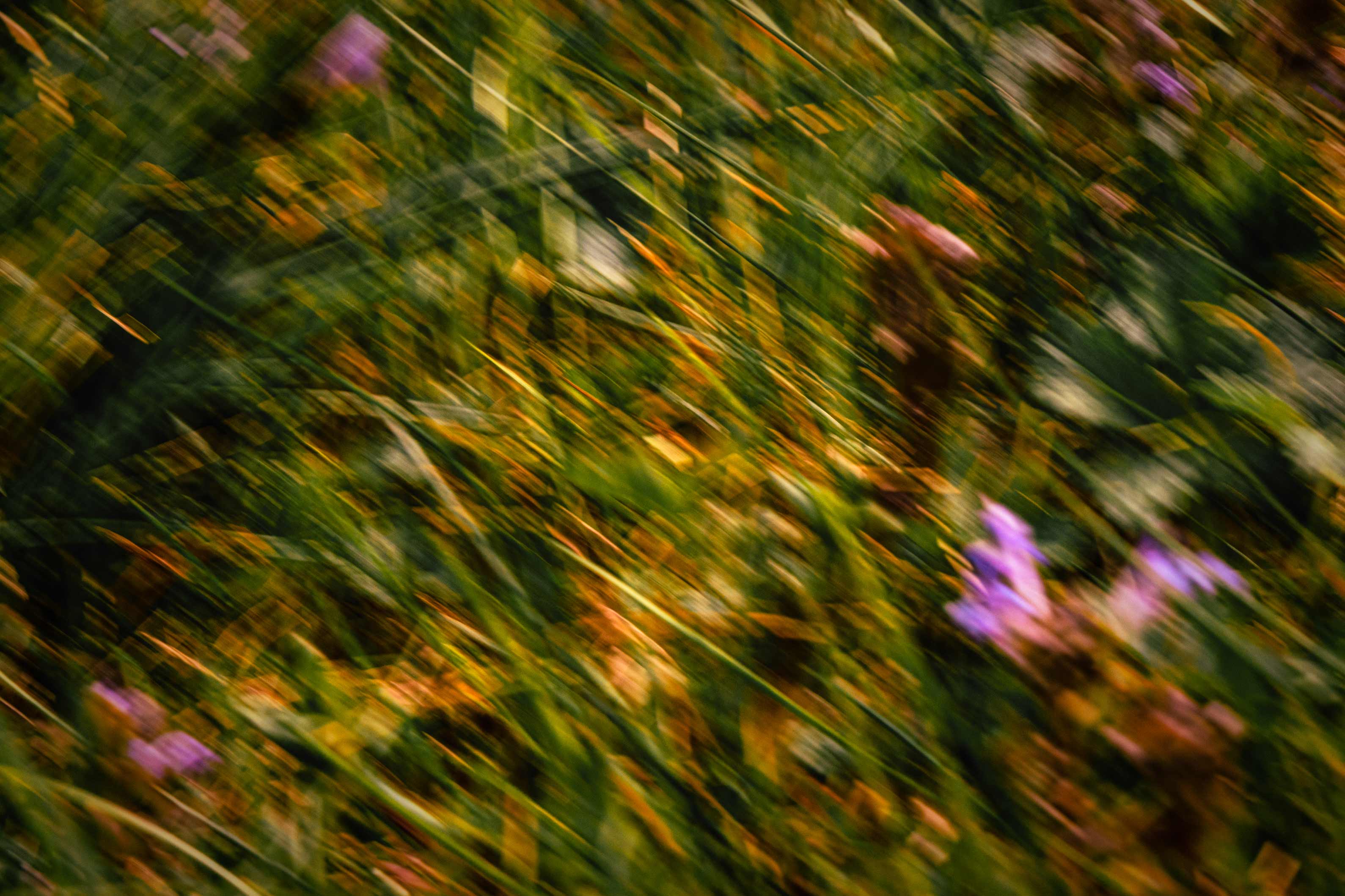 Abstract spring - Apr 2025