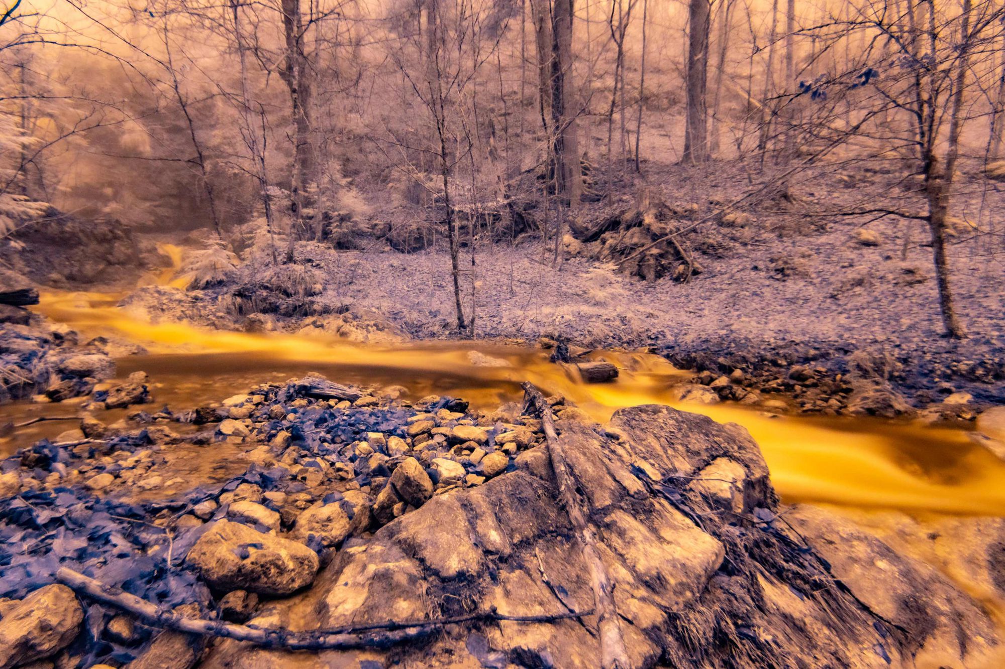 River of Gold - Feb 2021