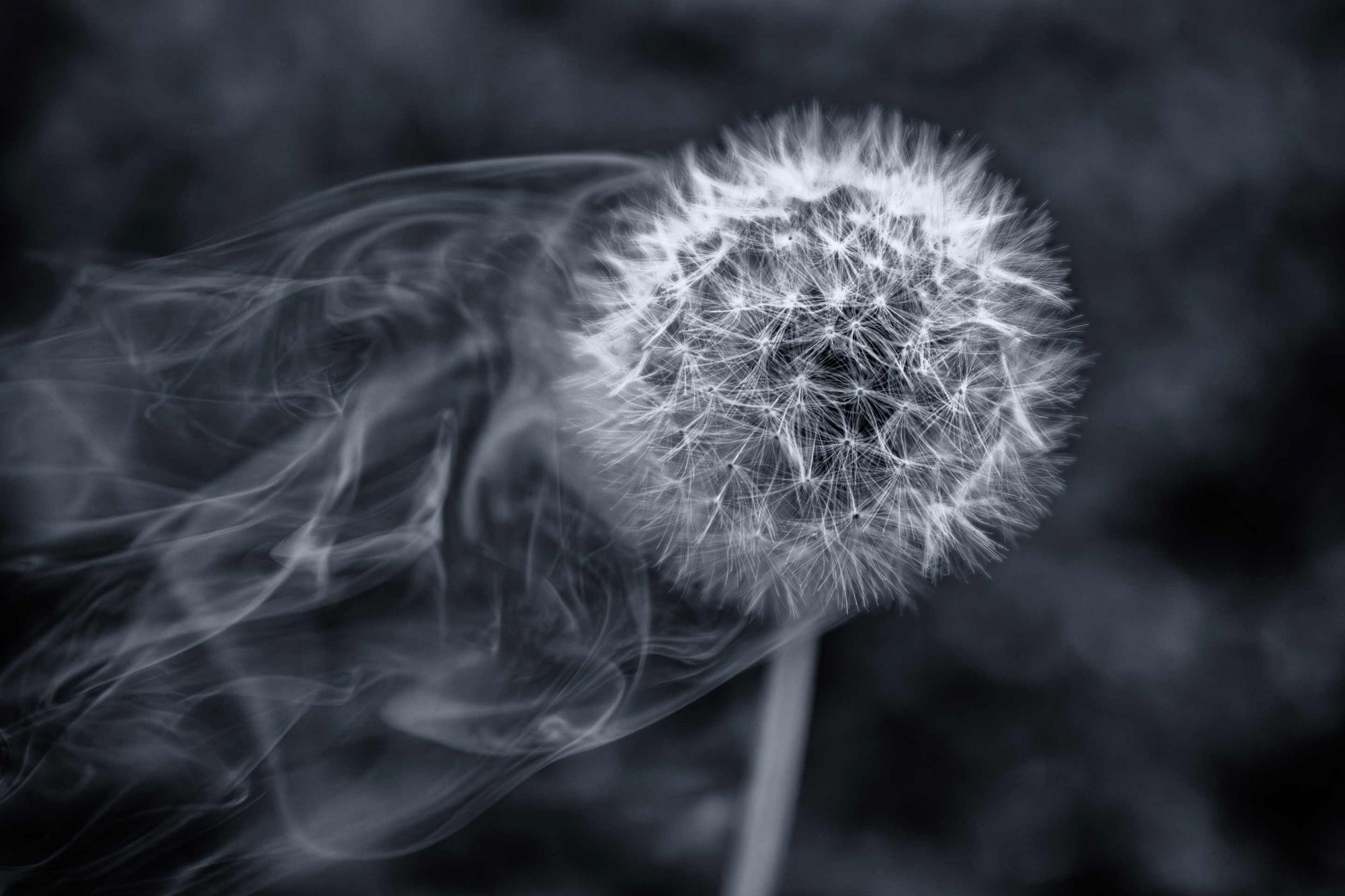 Smoky - Mai 2024