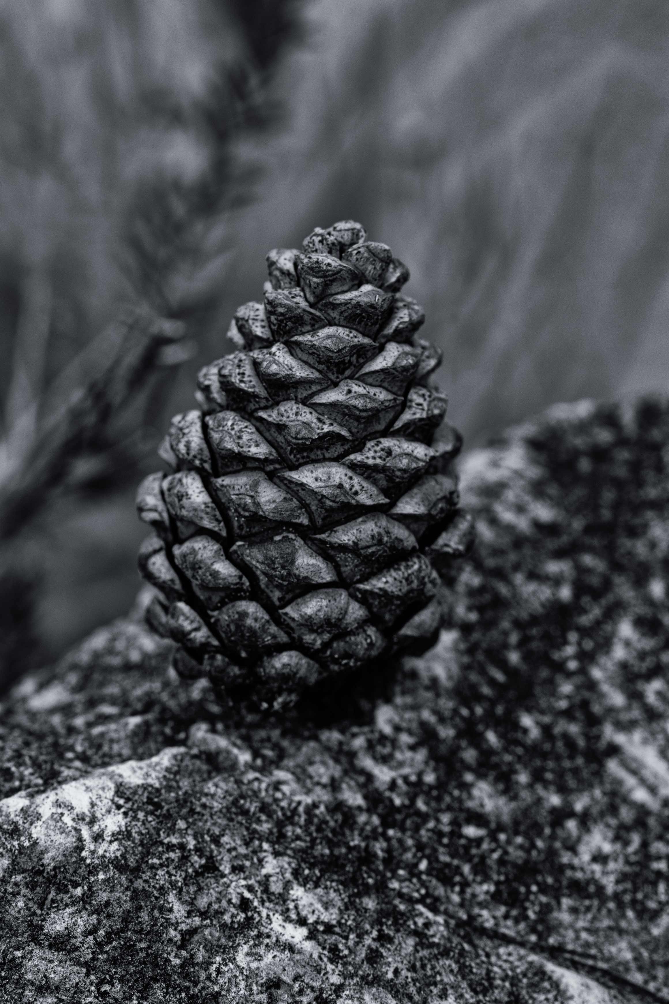 Unplugged III - Sep 2025